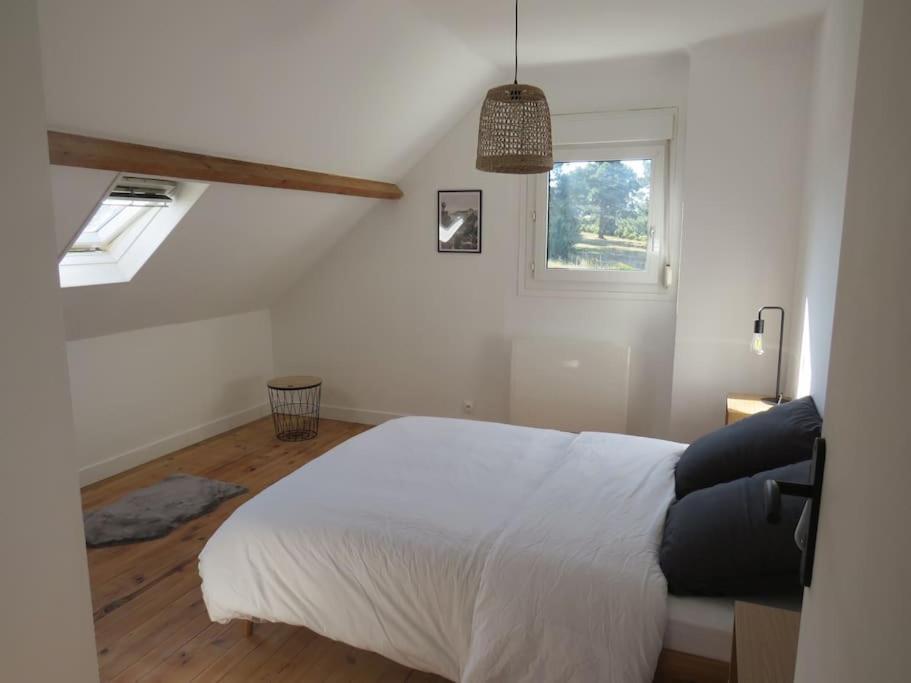 Maison - Plage A Pied Frehel Eksteriør billede